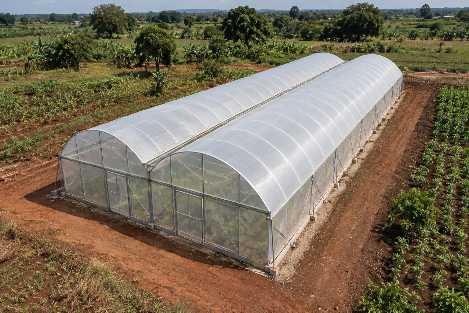 Serre tunnel 500 m² — vue 1