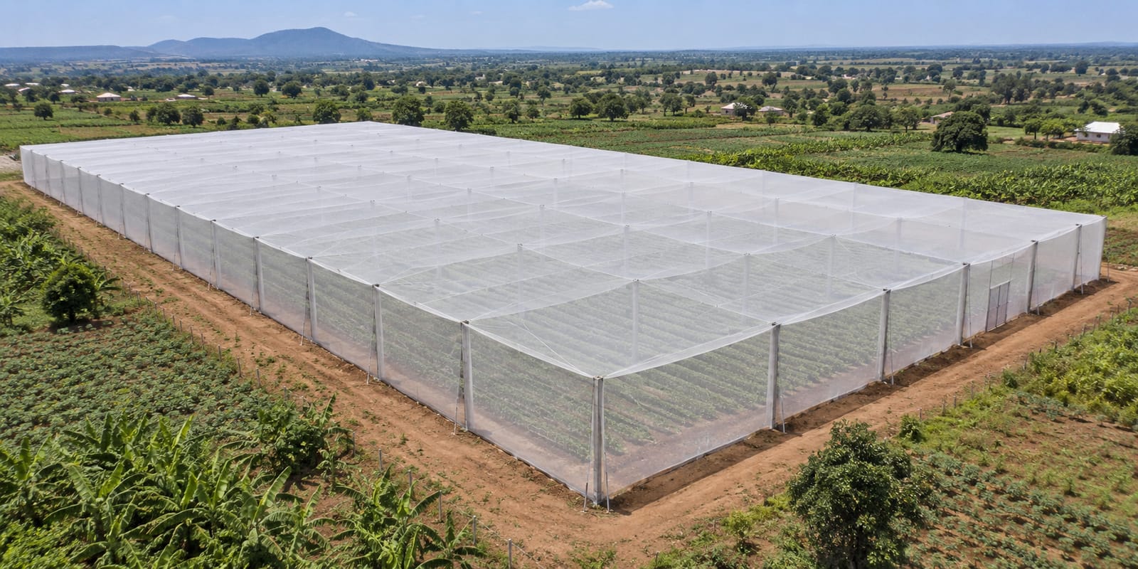 Abri filet anti-insectes 5 000 m² — vue 1
